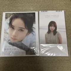 畑芽育 1st写真集 残照 カレンダー 2025