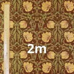 Item thumbnail for item c2a132f5-e8a4-4cea-b938-42b545985e33