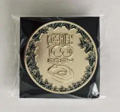 阪神甲子園球場100周年記念ピンバッジ