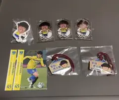 栃木SC FC東京 テゲバジャーロ宮崎 安田虎士朗