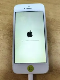 Apple iPhone5 16GB MD298J/A