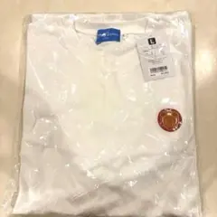 Item thumbnail for item 7a66d505-1c5c-4b33-b7e1-2eb901baaf6d