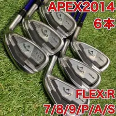 APEX エイペックス 2014 アイアン6本セット