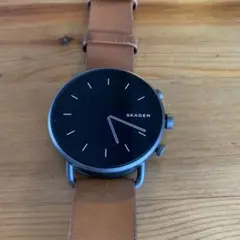 SKAGEN FALSTAR GEN6