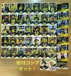 【 柏レイソルトレカ TE 2025 レギュラーカード コンプセット！ 】