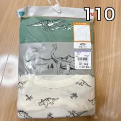 Item thumbnail for item dc01374d-9a81-4bb2-817b-e9db9156eed2