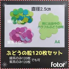825　2.5㎝ぶどうの粒120枚■クラフトパンチ製作キット保育園壁面飾り