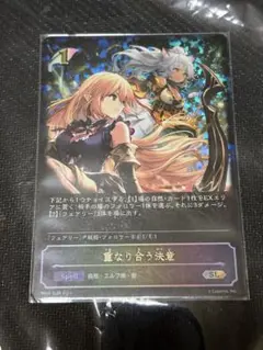重なり合う決意 SL