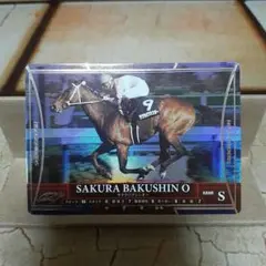ホースライダーズカード約550枚&ファイル Yahoo!オークション - ホースライダーズ2 KONAMI HORSERIDERS