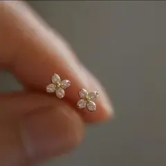 Item thumbnail for item 5b15a5ad-eec2-4607-9410-7b8cefbeb4c4