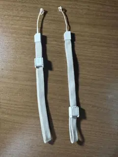 Item thumbnail for item 9e954f45-5e03-452d-a485-0bf9f03b9d59