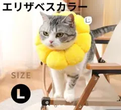 Item thumbnail for item 9c1399a6-fe8f-4d1e-ac1e-731e07e729ce