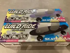 【新品未使用】WILD RIDE スケートボード クルーザー　タイプ　2個セット