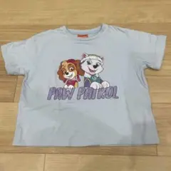 パウパトロール　Tシャツ　スカイ　エベレスト