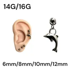 Item thumbnail for item d51bb6e3-472e-4ccb-86ca-58fce7ccb924