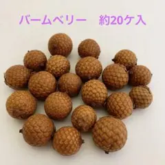 Item thumbnail for item c12295bd-2898-417b-ad32-d80cdfa9834d