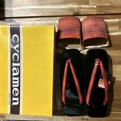 Item thumbnail for item 59e5034d-2cc5-48a1-a68f-cb144c6165fe