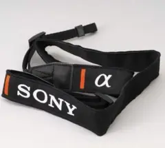 Item thumbnail for item 1e2f5c13-f44b-404a-922b-8901a4997d10