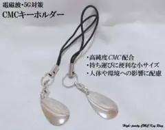 Item thumbnail for item b6d904b5-a2a2-4b6f-9a1a-1a3e97305aeb