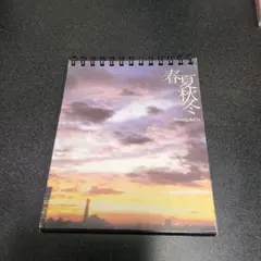 Steadyu0026Co./春夏秋冬