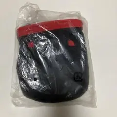 Item thumbnail for item e17247f3-6a07-4458-b597-d132aec51201