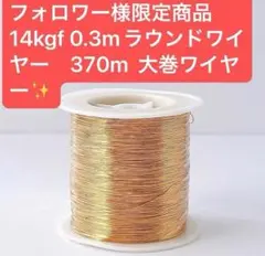 Item thumbnail for item 7788aa51-1f2b-4c07-8aa9-affbd89ed3ef