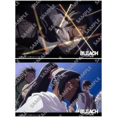 BLEACH ブリーチ 千年血戦篇 ブロマイド 四楓院夜一 ① ※バラ売り可