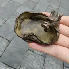 Item thumbnail for item 6c76d637-04de-4100-8394-223760c0f47f