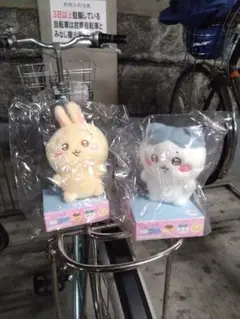 Item thumbnail for item dd9d88f4-6139-40e0-8217-63f5c7579081