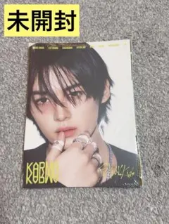 stray kids straykids リノ 新品未開封 KARMA