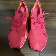 Item thumbnail for item 68253c47-2943-4c47-862c-38a413f91d15