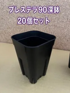 プレステラ90 深鉢 20個セット