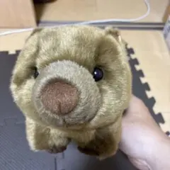 ウォンバット　ワインさん　ぬいぐるみ