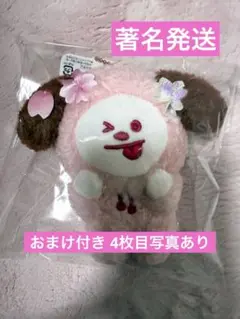 Jimin BT21 ぬいぐるみ マスコットさくら SAKURA CHIMMY