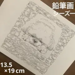 【鉛筆画】 シーズー　犬　動物 絵　原画　ドローイング　イラスト