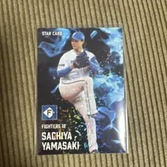 プロ野球チップス