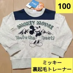 Item thumbnail for item 8fa8d045-8411-43eb-bf73-bae0857b0d89