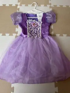 小さなプリンセス ソフィア 100~110cm