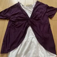 ティゴラレディースTシャツ