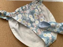 Item thumbnail for item b3e26fdf-9e9c-452b-af08-593cfba1fd46