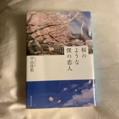 桜のような僕の恋人