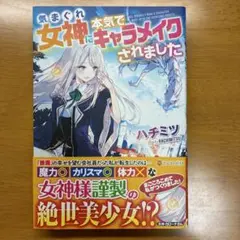 気まぐれ女神に本気でキャラメイクされました