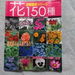 花150種　匿名配送