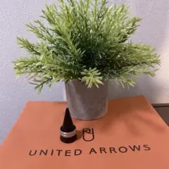 【美品】UNITED ARROWS リング27号（親指、中指）