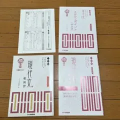 プログレス現代文総演習　標準編