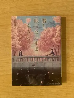 君と、眠らないまま夢をみる