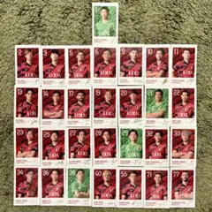 鹿島アントラーズ 25 インスタントフォトカード 全29種コンプリート セット