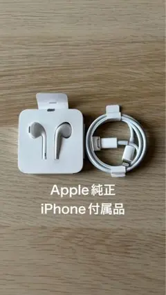 Apple 純正 正規品 Lightning TypeCケーブル＆イヤホンセット