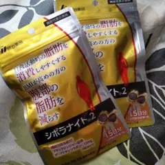 Item thumbnail for item d55cb907-1ac9-492d-b5a3-a25b669e7518