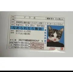 なめ猫 免許証カード ドラ吉